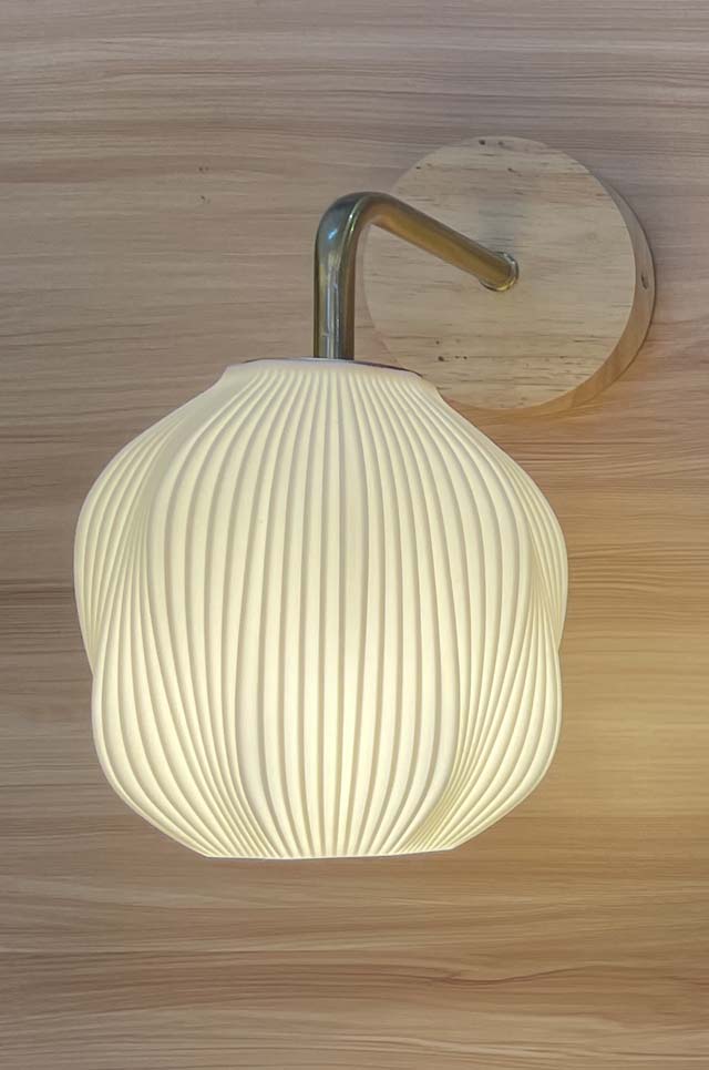 Wall or Hanging Light 1